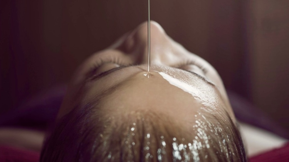 Ayurveda pays basque