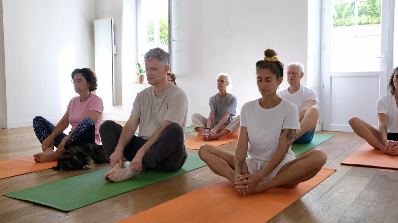 Yoga collectifs